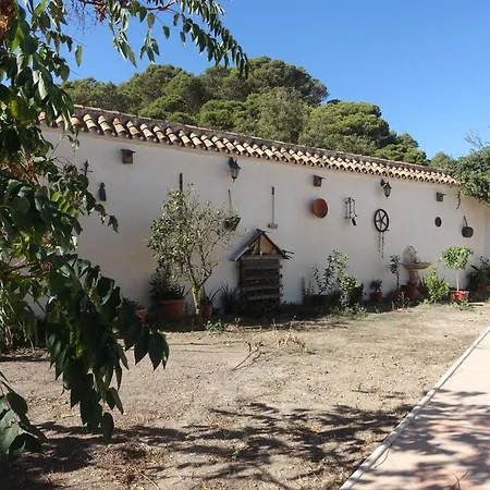 Galwey, Tourist Appartments With Wifi Malaga Exterior photo