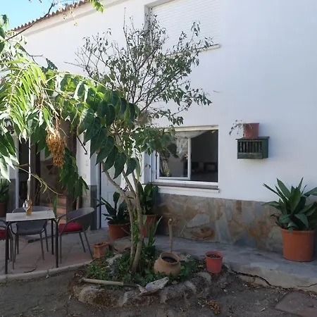 Galwey, Tourist Appartments With Wifi Malaga Exterior photo
